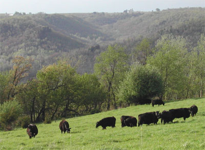 Coon Valley Wi