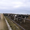 trough.jpg