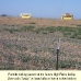 High-Plains-Pasture1