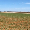 New Mexico Factory Dairy in distance