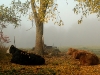 Ecologically-Managed Organic Farm Photos