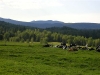 Edwards Family Farm, Westfield, Vermont