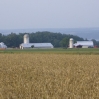 fmyer.jpg