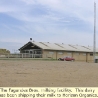fagundes_milking_facility2a.jpg