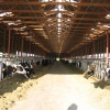 fair-oaks-025