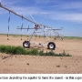farming_the_desert_small2.jpg