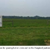 nice_grass_no_cows_small.jpg