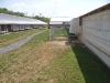 Sauders Grassy Porch