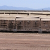 calf-housing.jpg