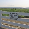 rockview-heifers-sign2.jpg