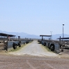 rockviews-feedlot-organic-dairy.jpg