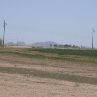 shamrock-irrigated-land.jpg