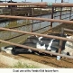 Vander Eyk Factory Farm
