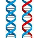 DNA