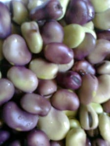 Beans_seeds