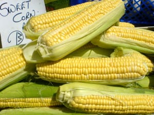 2008_08_19-sweetcorn