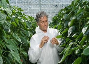foodscientist.usbureaulabor