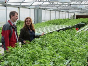 hydroponics
