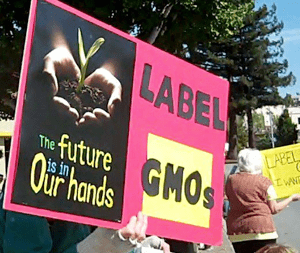 The-future-label-GMOs