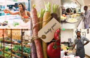 goodfoodorgguide