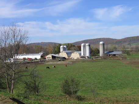 Engelbert Farms
