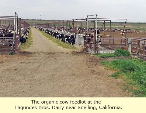 Fagundes Bros. Dairy at Snelling, CA