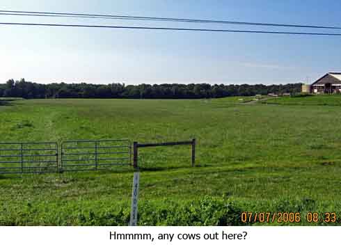 hmmm, no cows here