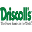 Driscolls