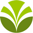 Olam