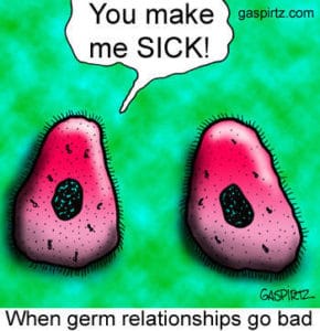 Couple_of_Bacteria