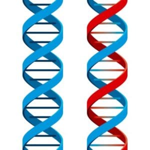 Copyright 123RF Stock Photos