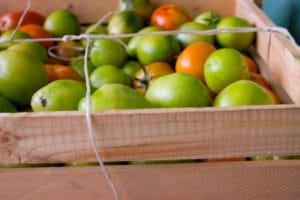 tomato box