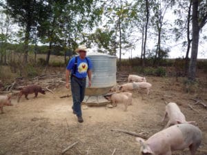 Joel Salatin