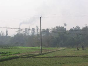 Vegetable_farming_Sichuan