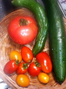 Fresh_vegetables