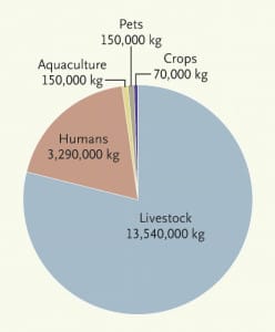 antibiotics chart
