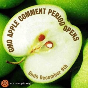 gmo.apples