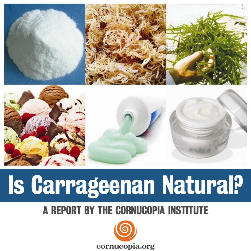 Is Carrageenan Natural? Cornucopia Institute