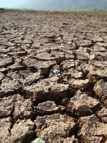 Baked Earth