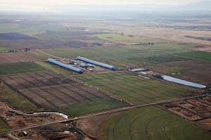 overview Idaho dairy small 10_10_09 001