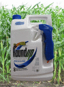 roundup