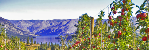 AppleOrchard.CentralWA.USDA.ARS