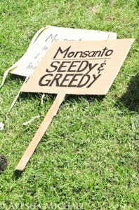 Seedy-greedy