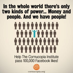 CI_100kFacebookLikes_1a