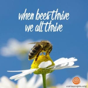 beesthrive
