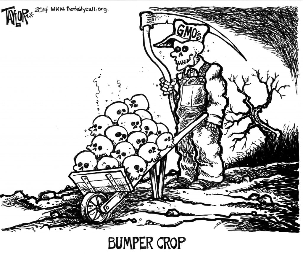 BumperCrop MarkTaylor