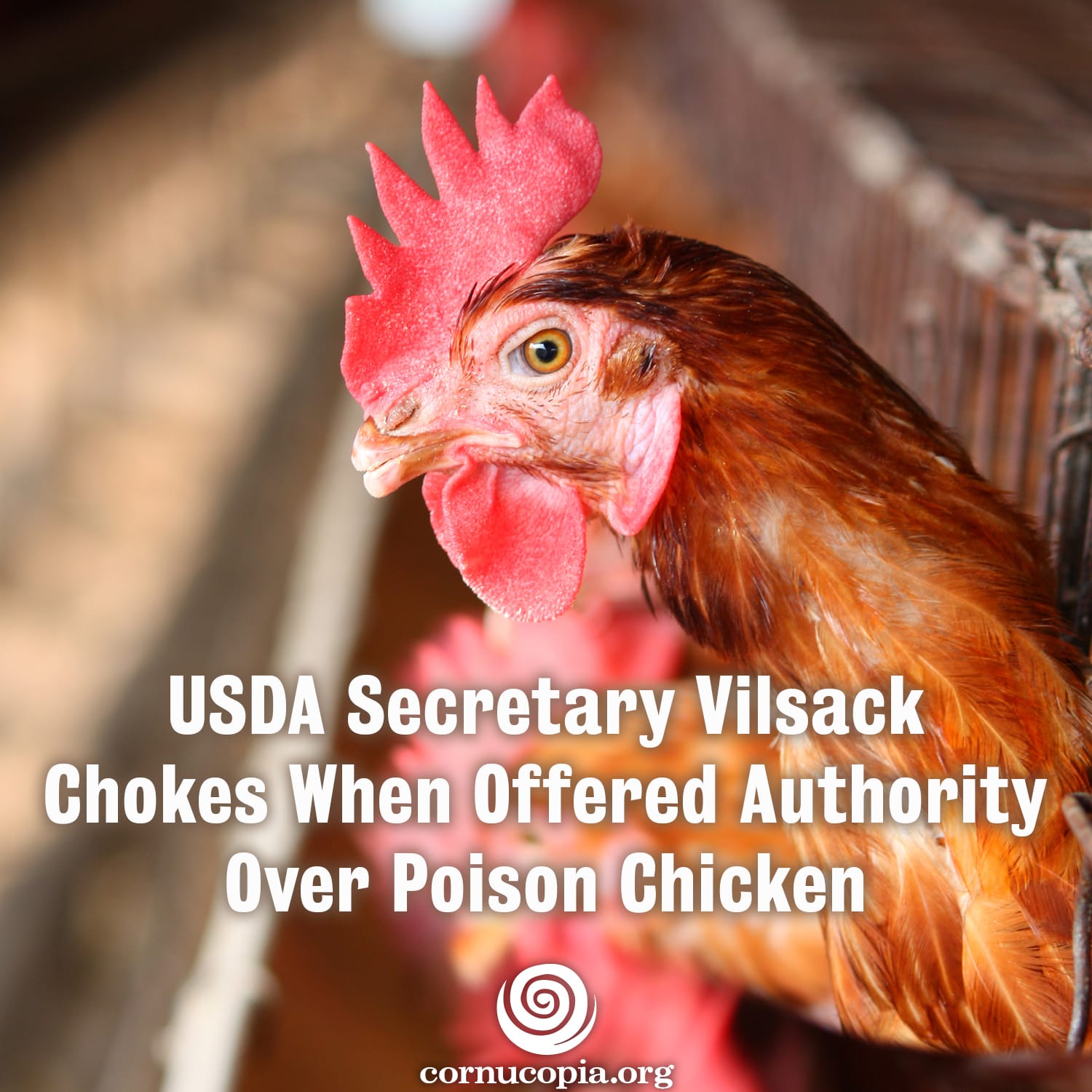 The future of gmos meat safety and organics under the influence of the