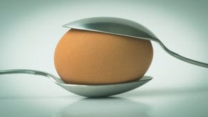 Egg JackHaskell