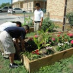 Children Who Garden Grow up to Eat their Vegetables