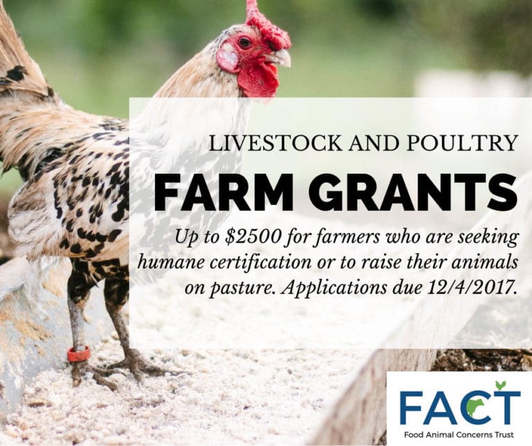 FACT’s Grants for Livestock & Poultry Farmers Apply today